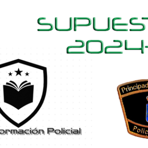 01. SUPUESTOS 2024-2025